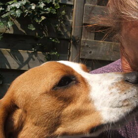 Liefde tussen hond en baas.