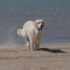 Mandy.....beachbabe