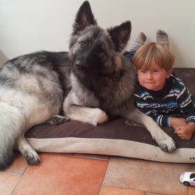 alles samen doen