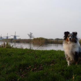 Lizzie in Kinderdijk