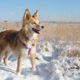Bibi in de sneeuw