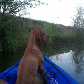 Uren varen