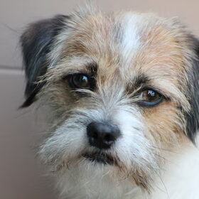 onze storm