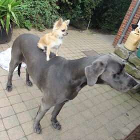 Gucci & Hyca