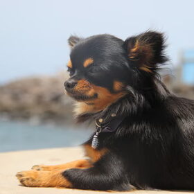 zon, zee, strand