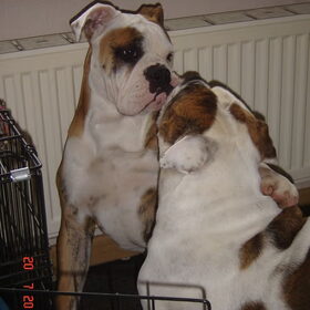Jess & James