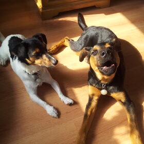 Aaaaawwwoooeeeehhhhhh!!!!!