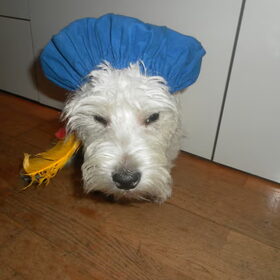 Stoere piet.
