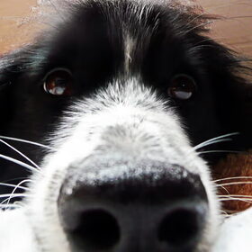 ooooh een camera =o