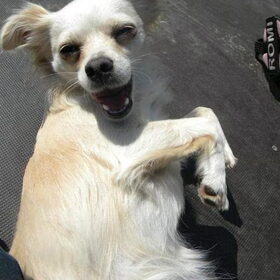 Big smile !