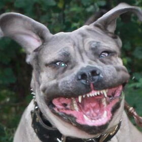 smile