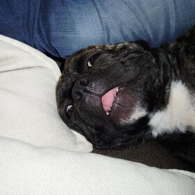 Lachen