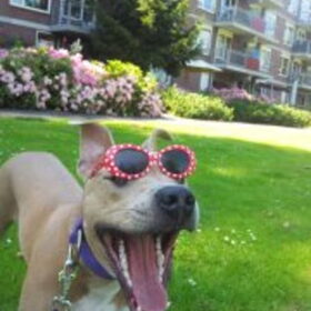 Happy face