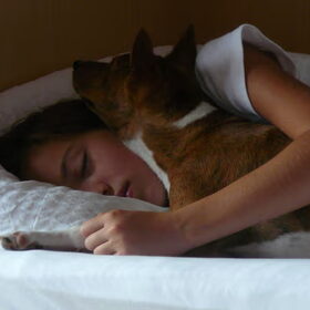 In bed