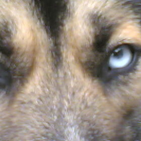 blue eyes