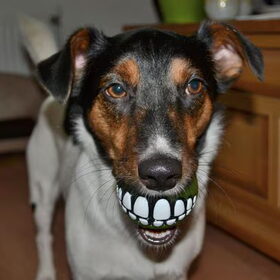 Smile!