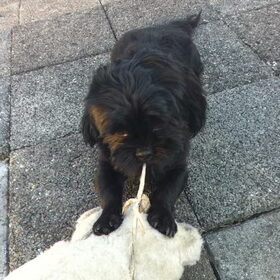 mijn lievelings knuffel