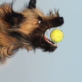 ball