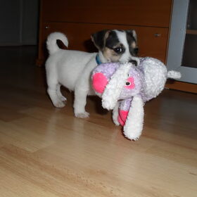 Kleine Melo met knuffel.