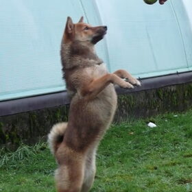 Maggik de balllll :-)