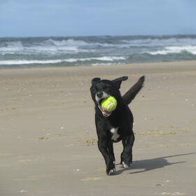 Having a ball
