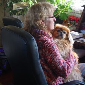 samen dromen