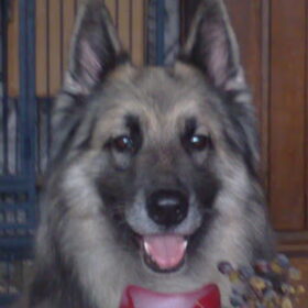 onze ouwe