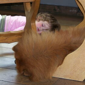 SAMEN SLAPEN