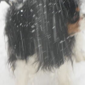 sneeuwstorm