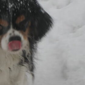 mmm, lekker sneeuw