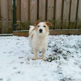 sneeuw love