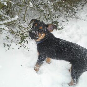 Mac's eerste sneeuw