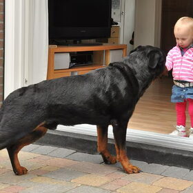Demi sluit vriendschap