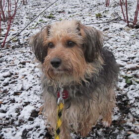Meid in de sneeuw