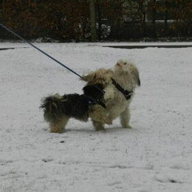 Lekker spelen in de sneeuw