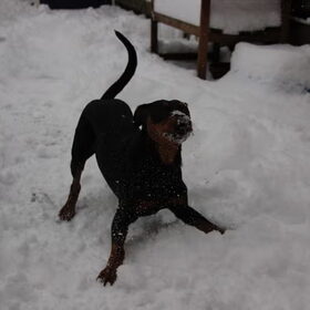 Mijn dikke schat, helemaal happy met de sneeuw!!!