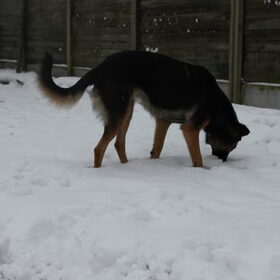 Even kijken wat er onder de sneeuw ligt