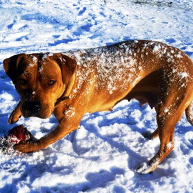 Anisa love the snow