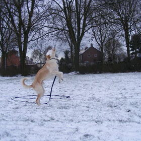 vangen!!!... oeps mis