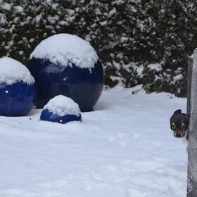 Moet ik echt terug door de sneeuw?
