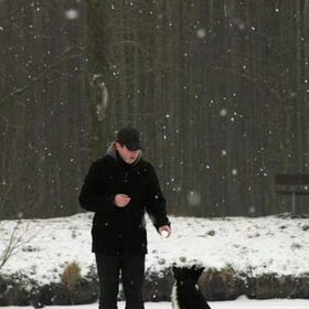 Sneeuwbal