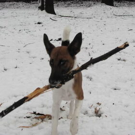 sneeuw fun....