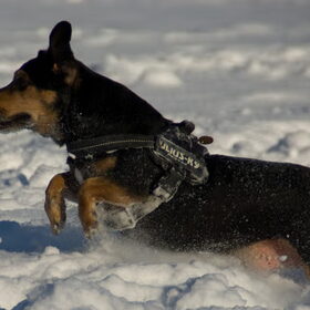 Tacsi in de sneeuw