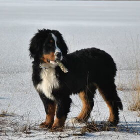 have a cigar...