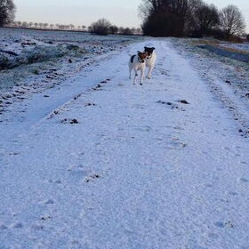 Let is snow!