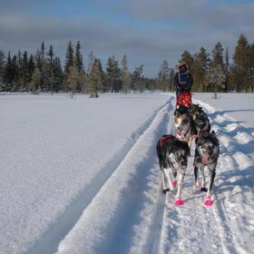 Trainen in Zweden