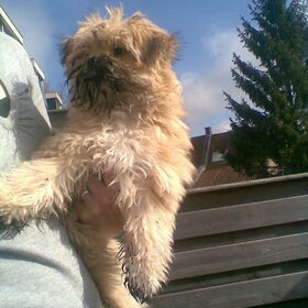 Zoe heeft in de tuin gewerkt!!!!!!