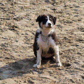 Luka 13 1/2 week