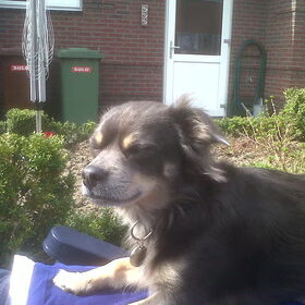 Liever lui dan moe!!