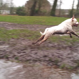 Een gat in de lucht springen?